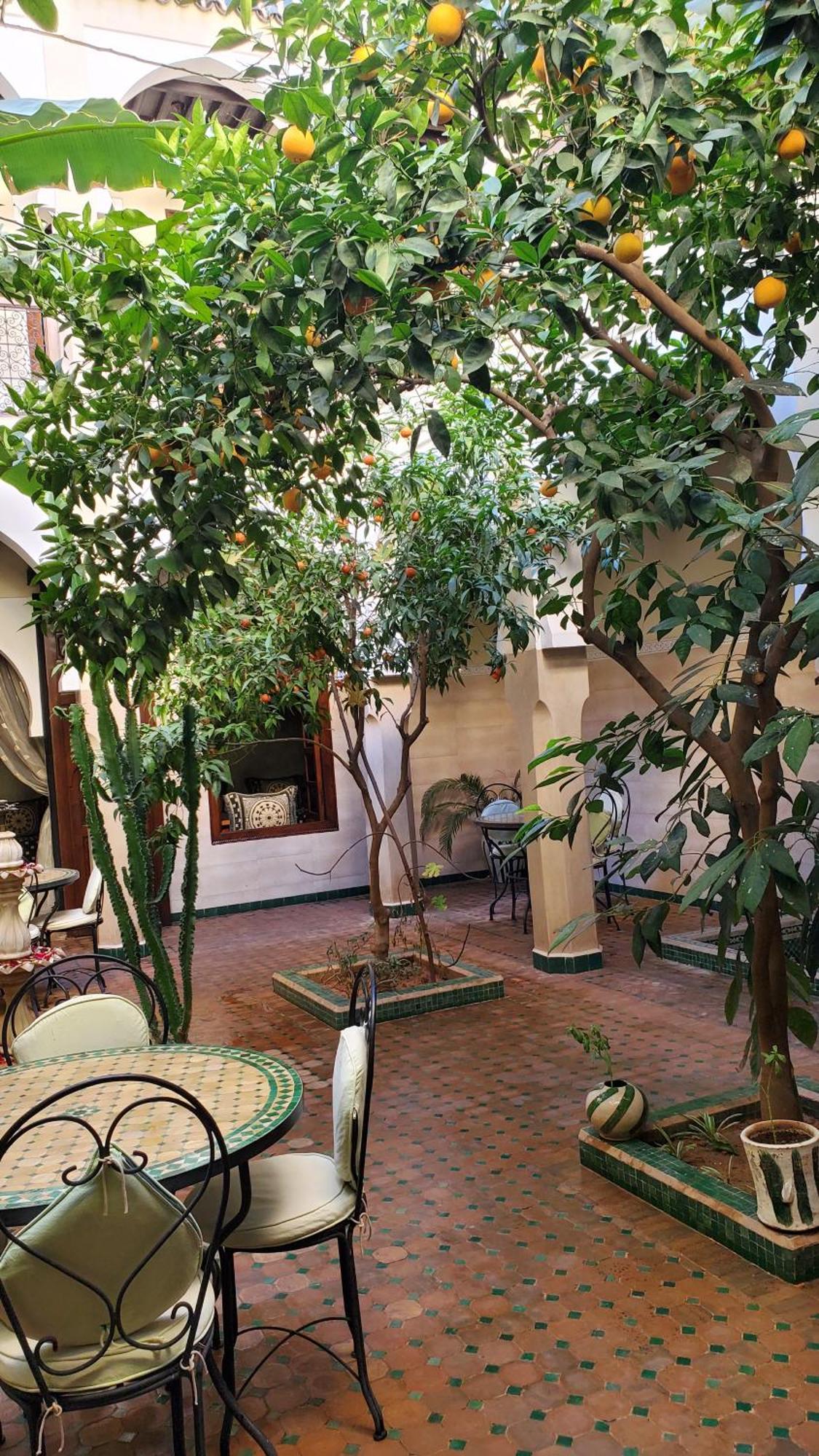 Riad Tidar By Expert Riads Gestion Marrakesh Exterior foto