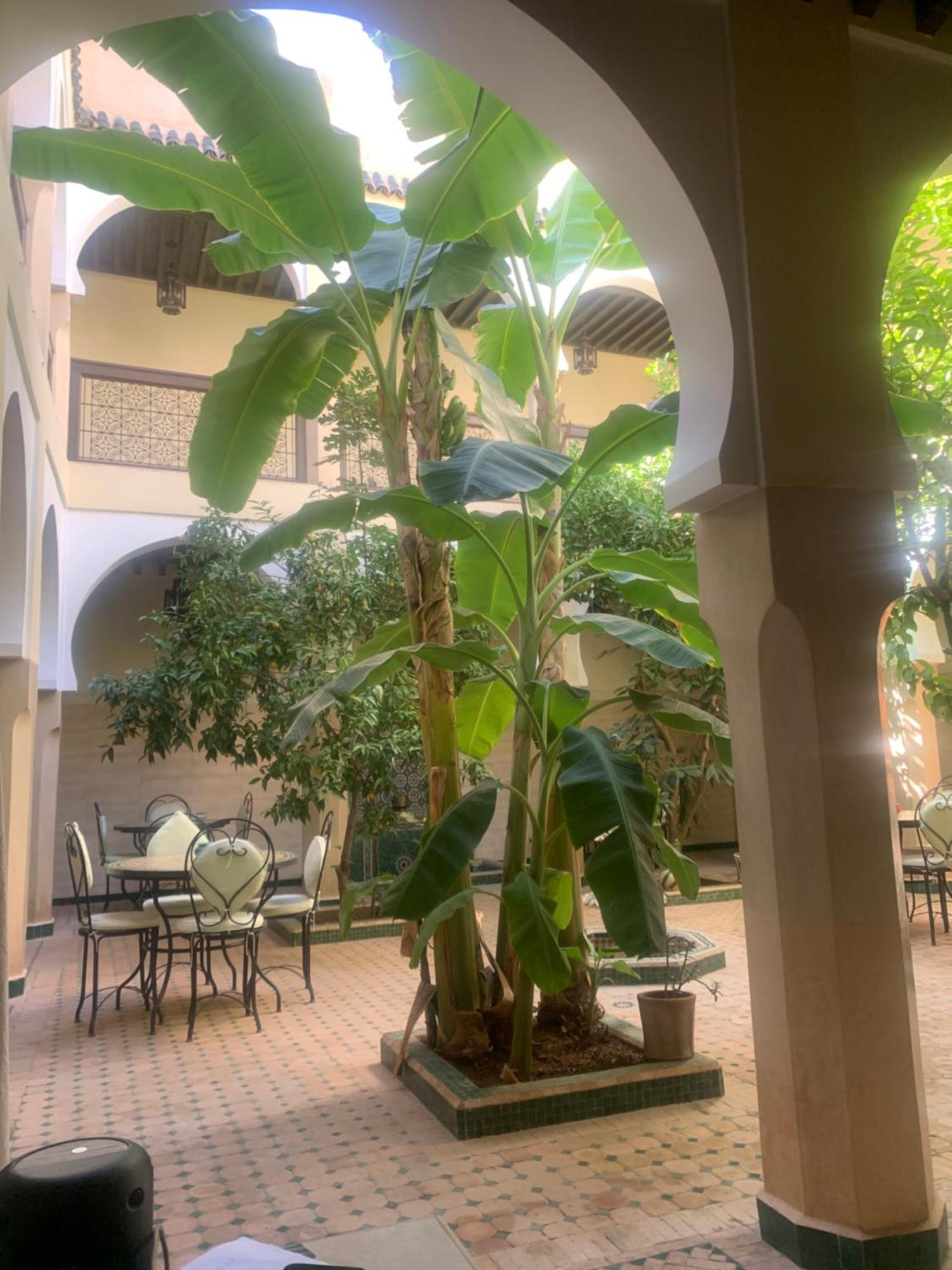 Riad Tidar By Expert Riads Gestion Marrakesh Exterior foto