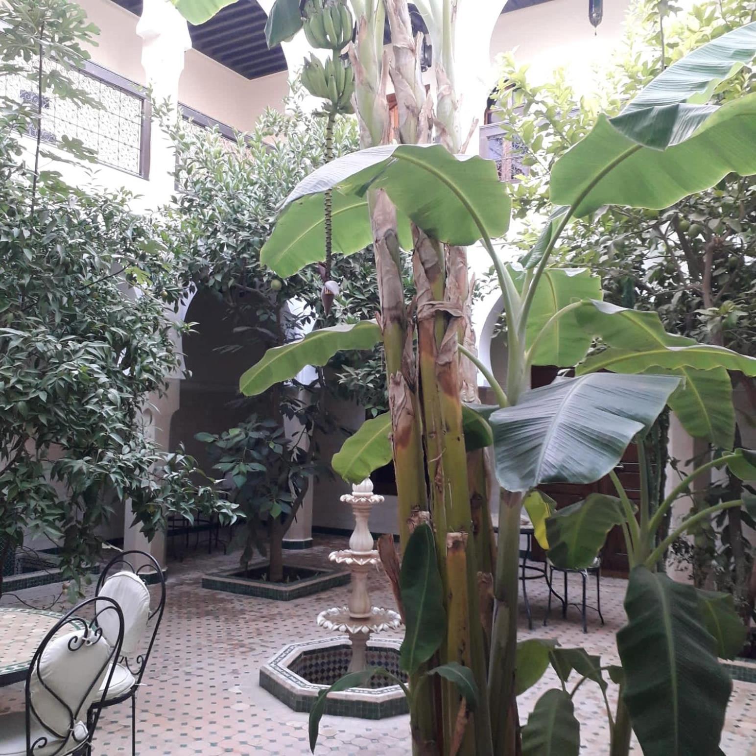 Riad Tidar By Expert Riads Gestion Marrakesh Exterior foto