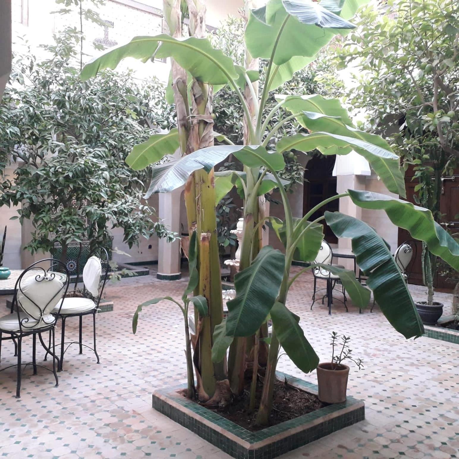 Riad Tidar By Expert Riads Gestion Marrakesh Exterior foto
